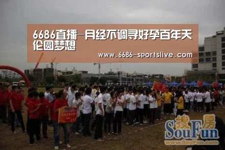 6686官网