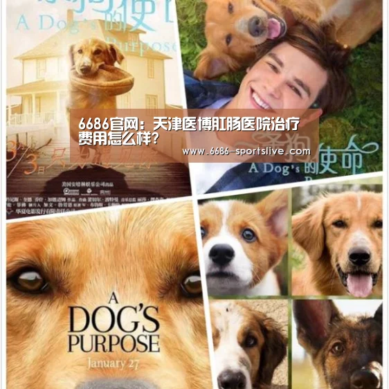 6686官网:天津医博肛肠医院治疗费用怎么样?(图1) 6686官网