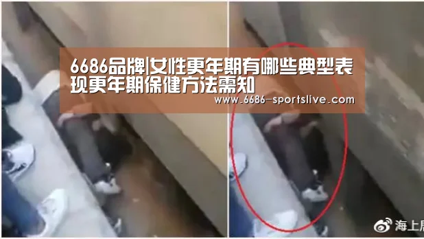 6686品牌