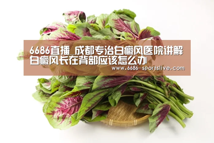 6686官网
