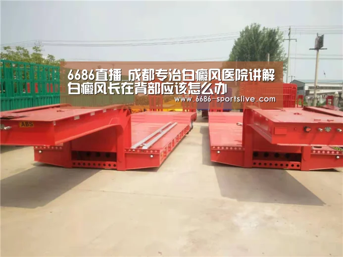 6686官网