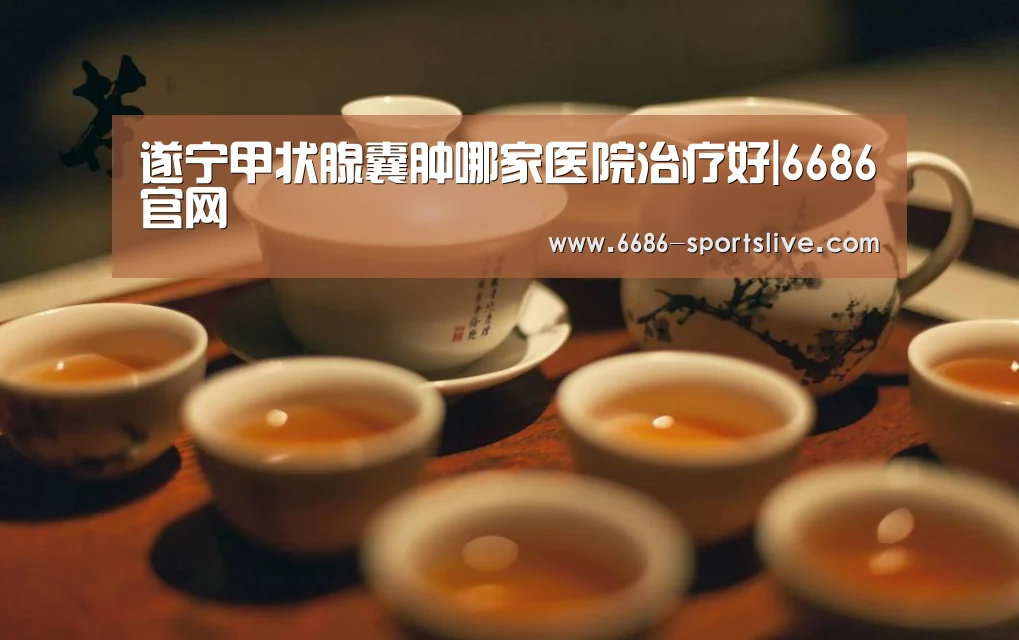 6686品牌