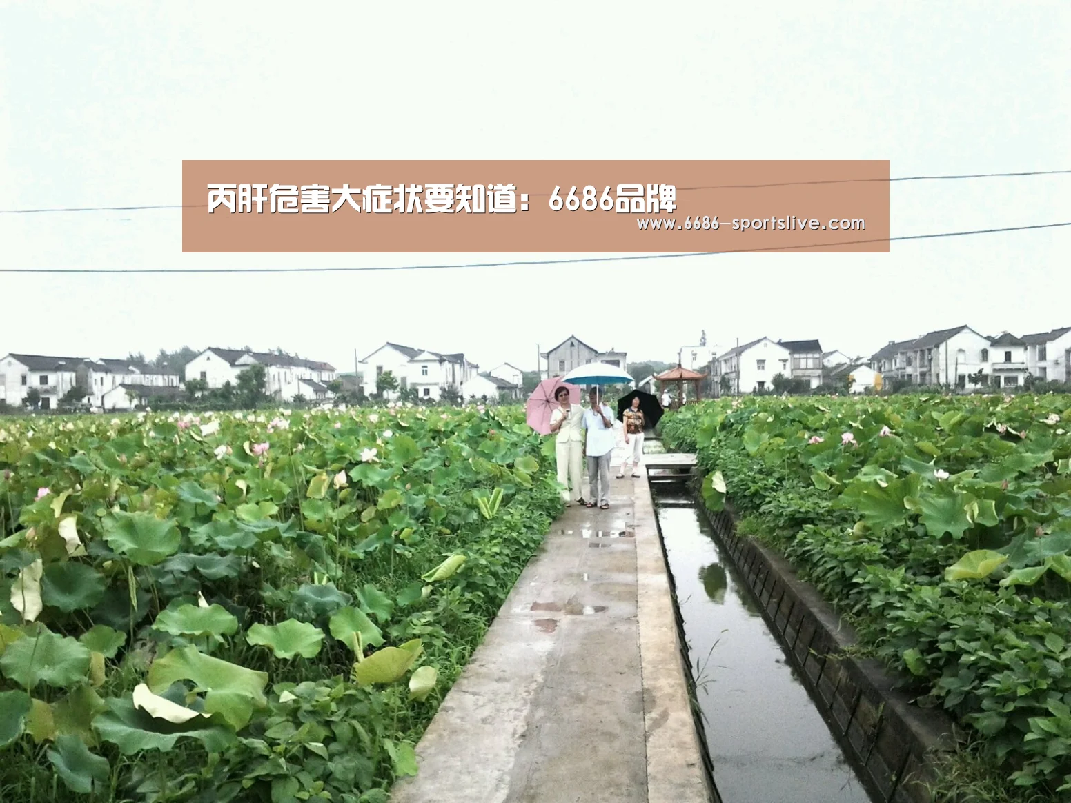 6686首页