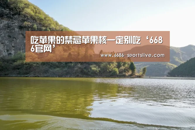 6686品牌