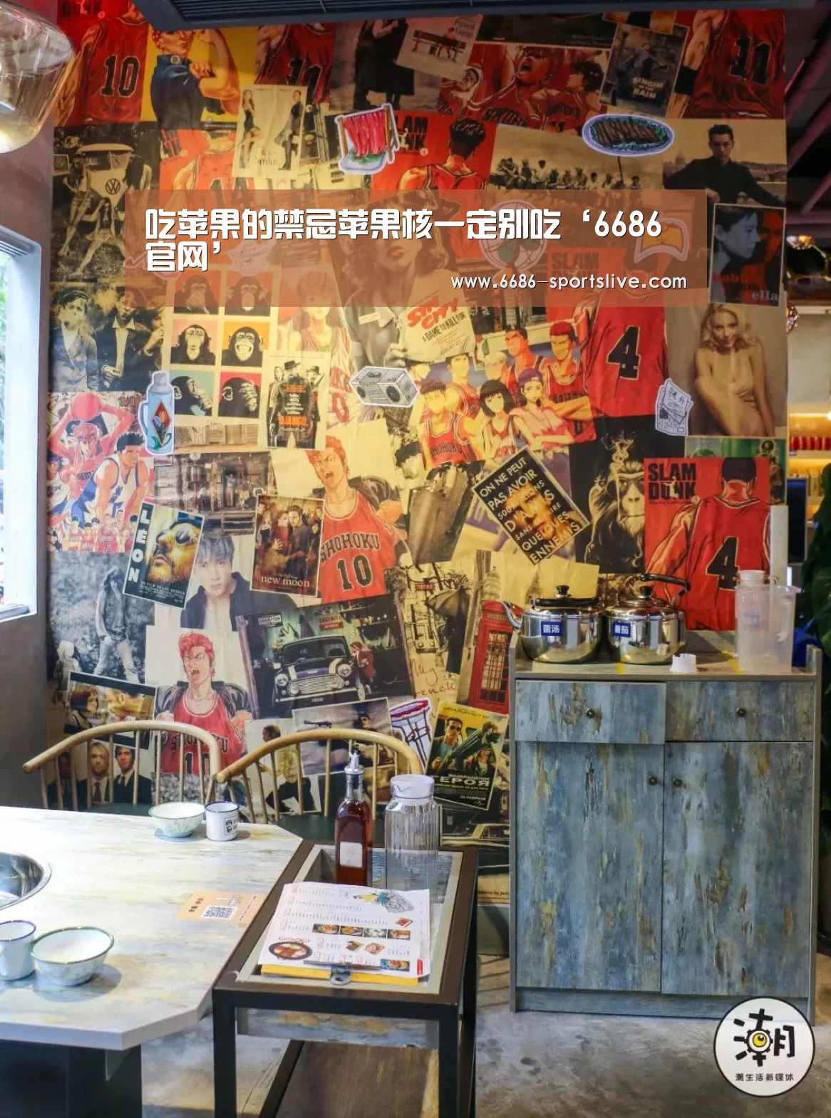 6686品牌